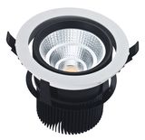 LED Light/Lamp 10W/20W LED Ceiling Light