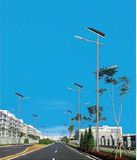 High Brightness Solar LED Street Light