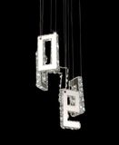 2 Years Guaranteen Crystal Chandelier Ceiling Light (EC926)