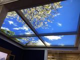 Ceiling LED Light Box