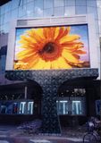 P10mm Outdoor Full Color LED Display / LED Display