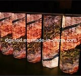 Shenzhen Factory SMD LED Curve Screen Indoor P5 LED Display