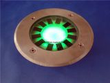 Solar Powered LED Garden Lights