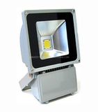 2013 Latest New Product 70W Waterproof IP65 Flood Light LED