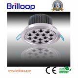 High Power LED Down Lights 15*1W (BLP-RL15W01)