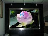 Indoor LED Display