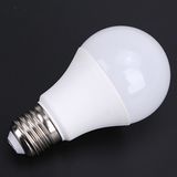 LED Bulb Light