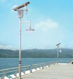 Solar Garden Light (XS-1705)