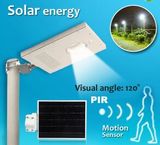 15W Integrated LED Solar Garden/Street Light with Sensor Lighting