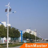 CE, RoHS Approval 30W CREE LED Solar Street Light