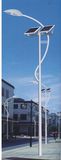 Wbr0051 40W Single Lamp LED Street Solar Light