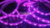 RGB LED Strip (60 LEDs/m, WF-12RGB60D-5010)