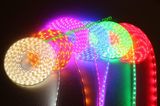 24V/12V SMD5050 LED Strip Light LED Strip