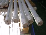 LED Warm-White T8 Tube Light