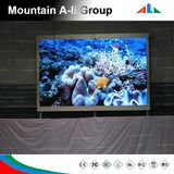 Long Lifespan P3 Indoor LED Screen Display