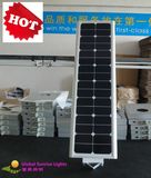 100%Solar LED Light/Solar Street Light/Solar Garden Light (SRS-S30)