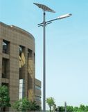 Solar Street Light for Building and Hall 6m 30W