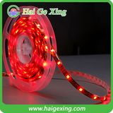 SMD 5050/3528 Outdoor LED Strip Light (HGX-FS60-3528)