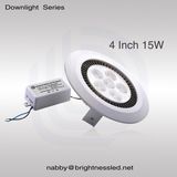 4 Inch Down Light 15W