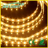 SMD3528 LED Flexible Strip Light with 60 LEDs