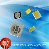 Hebei International Trading (Shanghai) Co., Ltd.