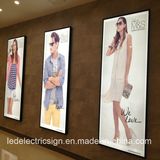 Window Display LED Light Box for Advertisement