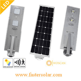 50W -Integrated LED Solar Garden/Street Light with Sensor Lighting