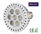 LED PAR Light / PAR Lamp / LED PAR 30