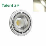 E27 12W PAR38 COB Style LED Light