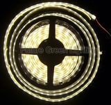 LED Strips