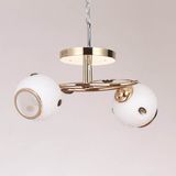 Goden Steel Chandelier Ceiling Light T3021-2