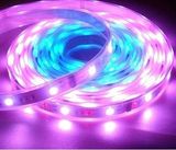 LED Strip Light-RGB (XDS-SRGB60F010Y12-5050)