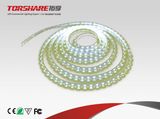 Waterproof LED Flexible Strip (TS-CF8W-30)