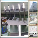 LED Decorative Lights