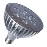 PAR38 9W High Power LED Spotlight