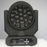 Popular 19X15W Bee Eye LED Moving Head Light