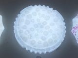 Round Shape Surface Mounted LED Ceiling Light