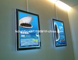 Wall Mounted LED Light Box with Slim Acrylic