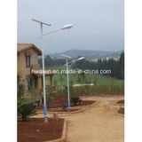 High Quality Solar LED Street Light (HW-SL10)