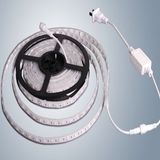 110V/ 220V AC 3528 High Voltage LED Strip Light (EL-AS3528W60-110V)