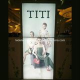 Fashion Handbags LED Advertising Light Boxes