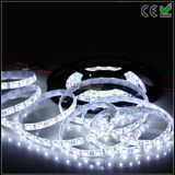 LED Strip Light Pure White