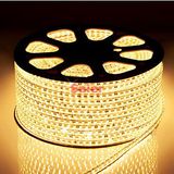 IP67 Warm White 110V LED Strip Light for Chirstmas Decorations