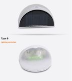 Wireless 1W Solar LED Garden Light with CE (WLS100-001-B)