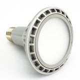 16W LED PAR38 Light (yc-cpar38W-16D)