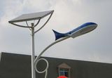 Wbr0053 40W Single Lamp LED Street Solar Light