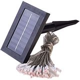 Led Solar Decoration Light (LSCL-001)