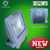 Original Bridgelux Chip IP65 100W Outdoor LED Flood Light