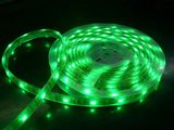 LED Strip Light/ Under Water 3528 LED Strip Light (IP68)