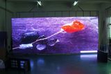 P6 Indoor Full Color LED Display /Full Color LED Display